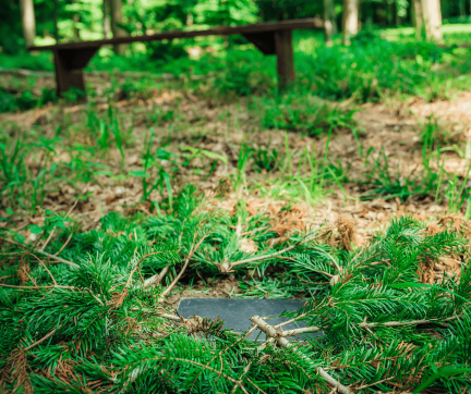 Skovbegravelse_mindeplade