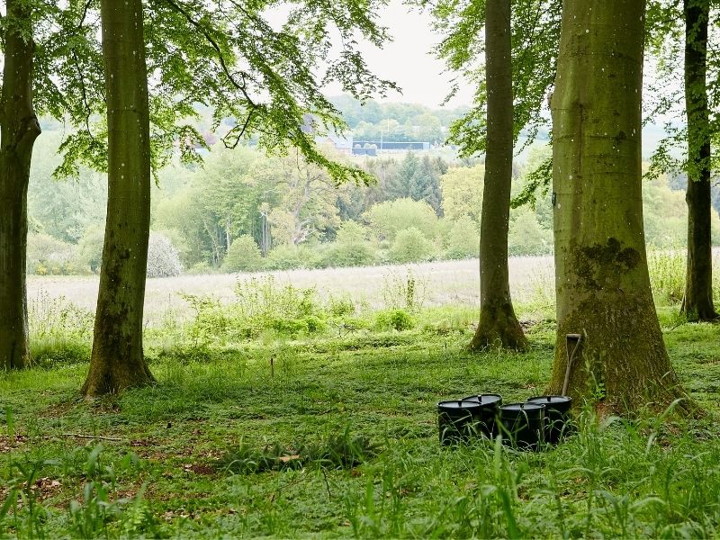 Clausholm Skovbegravelsesplads miljøurner biourner