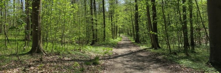 Rathlousdal Skovbegravelsesplads