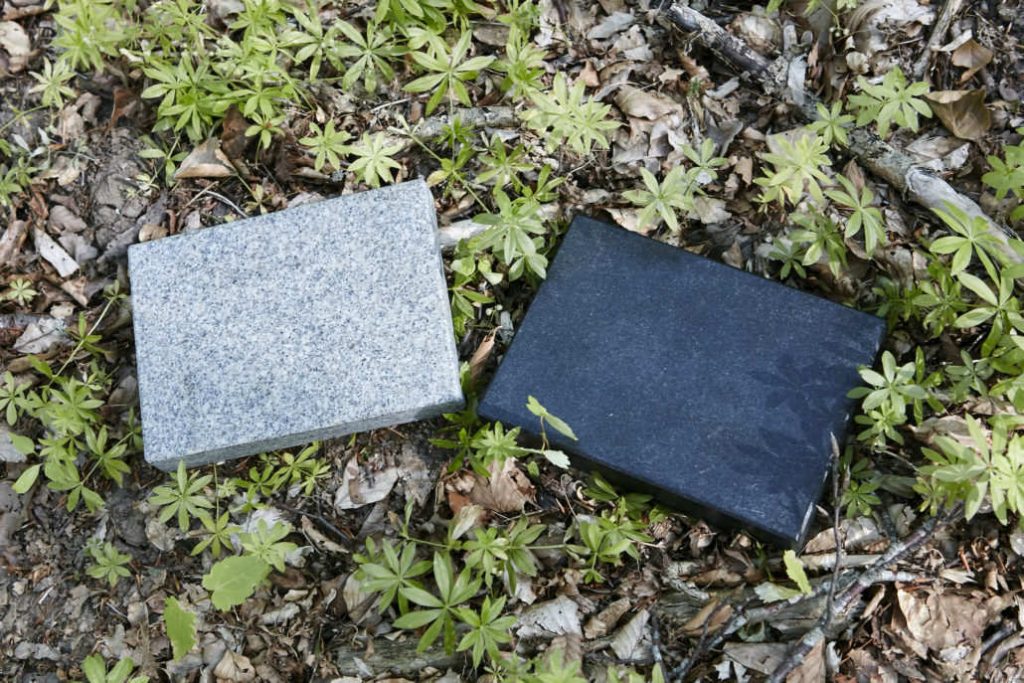 Skovbegravelse mindeplader i skovbunden