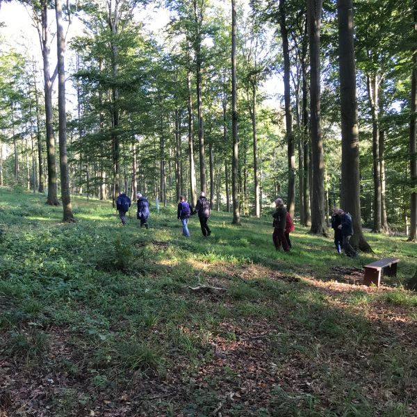 Guidet fremvisning af Stensballegaard Skovbegravelsesplads