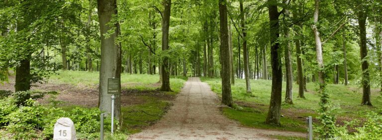 Clausholm Skovbegravelsesplads