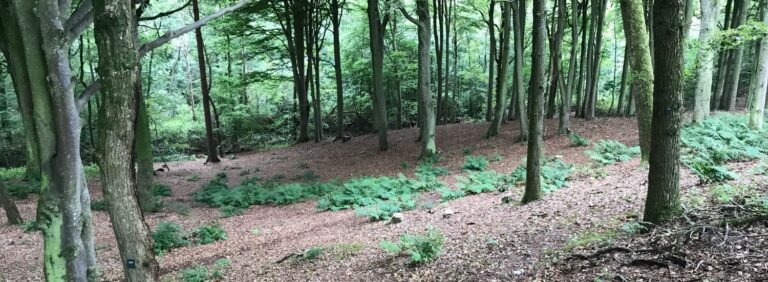 Hostrup Skovbegravelsesplads