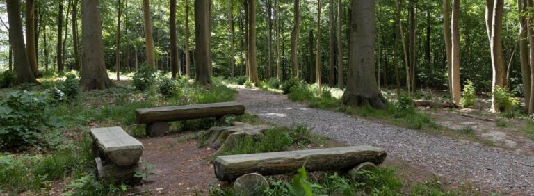 Ledreborg Skovbegravelsesplads