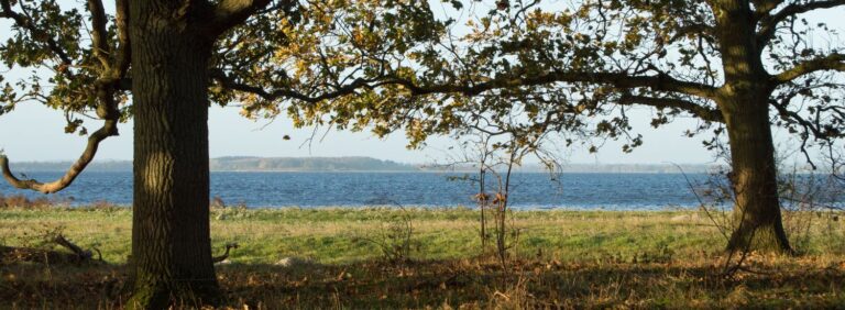 Selsø Skovbegravelsesplads-udsigt over Roskilde Fjord