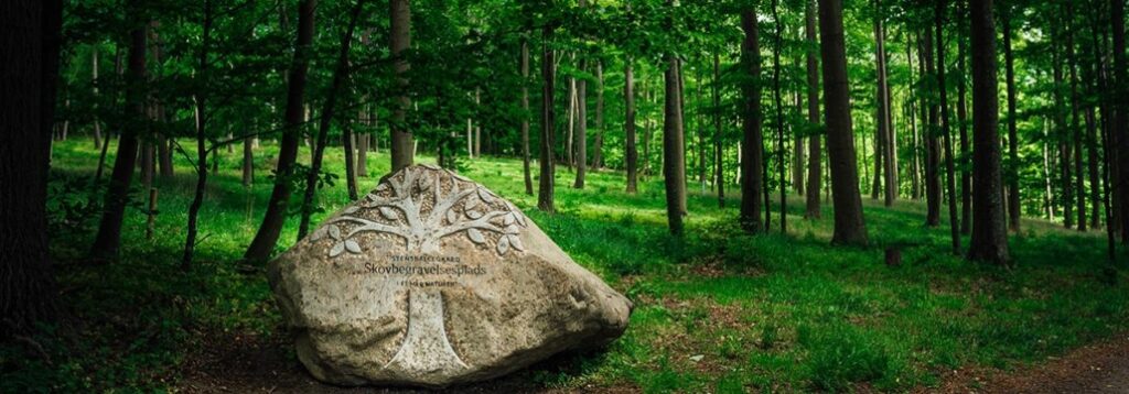 Stensballegaard_Skov_sten