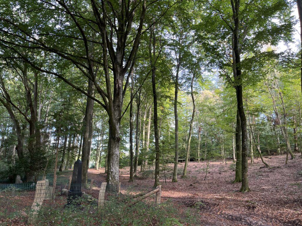 Overskoven_Meilgaard