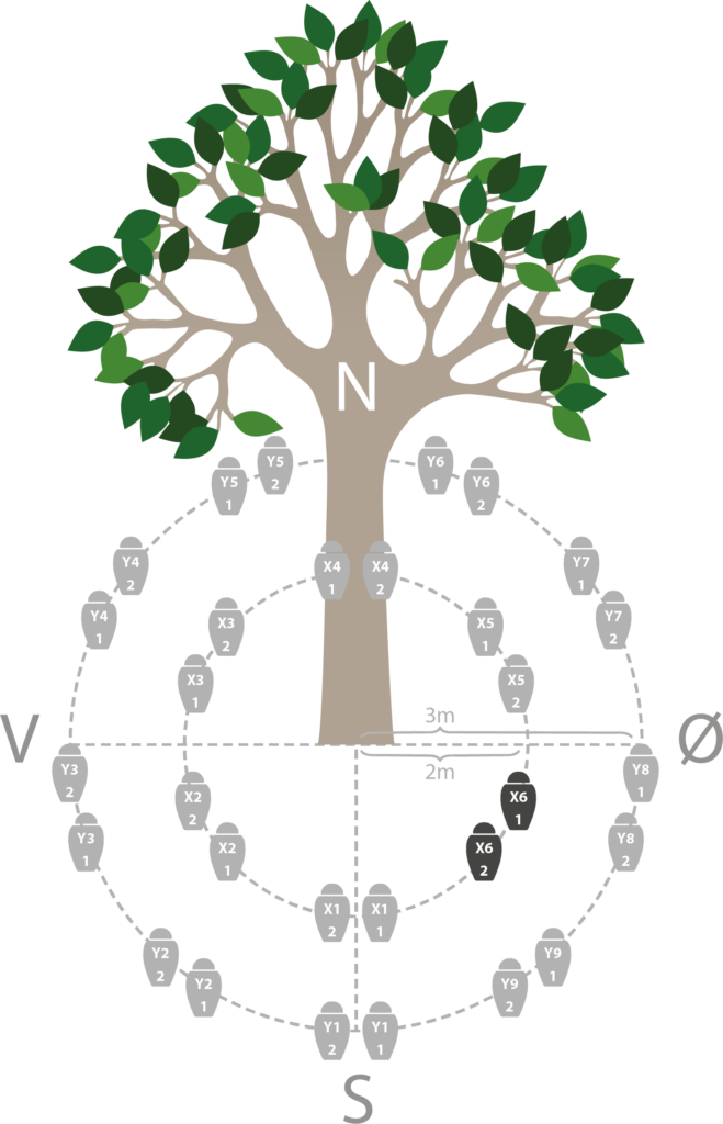 Trægrafik-urner-skovbegravelse