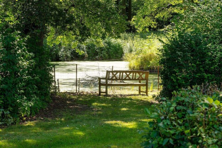 Ny Dalsgaard Skovbegravelsesplads