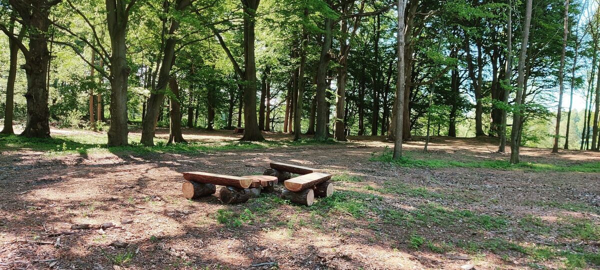 Guidet fremvisning af Esromgaard Skovbegravelsesplads