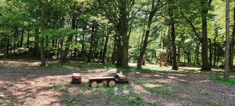 Esromgaard-Skovbegravelsesplads