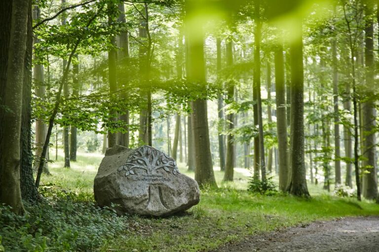 Stensballegaard Skovbegravelsesplads i Horsens