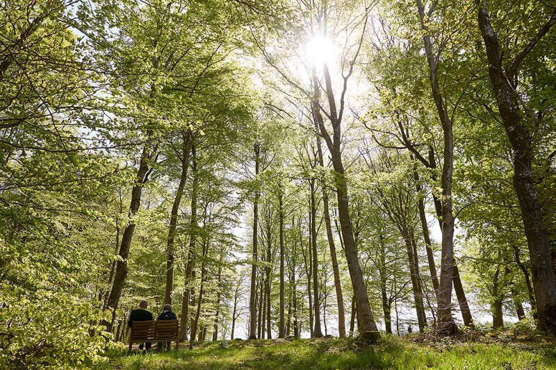 Kallestrupgaard_Skovbegravelsesplads