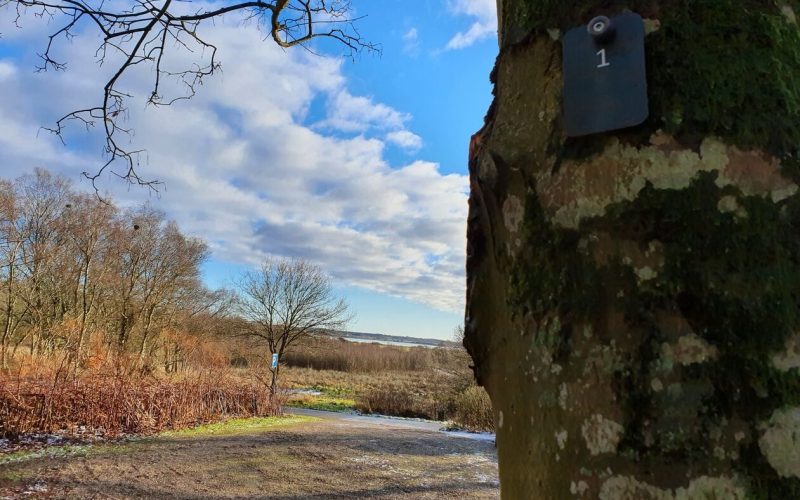 Hostrup Skovbegravelsesplads