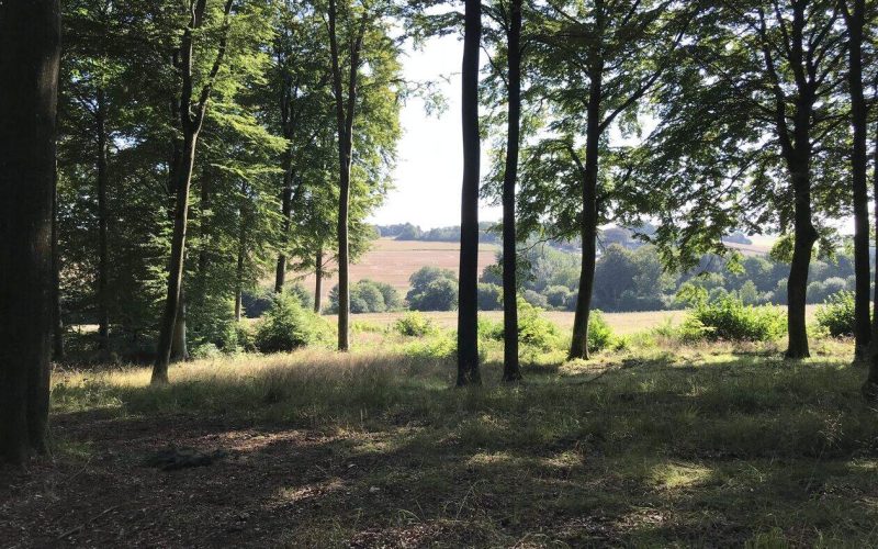 Clausholm-Skovbegravelsesplads