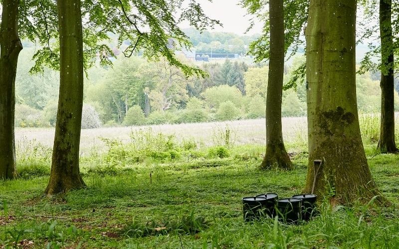 Clausholm Skovbegravelsesplads miljøurner biourner