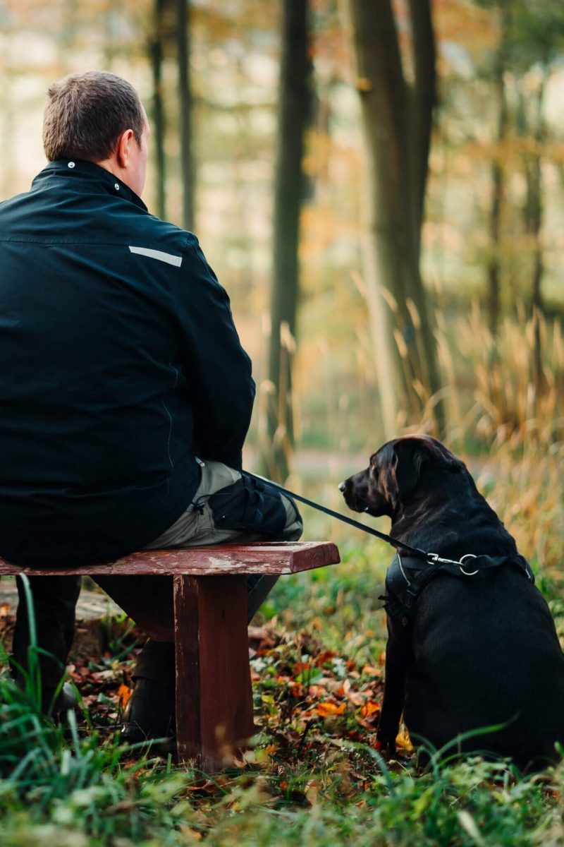Mand på bænk i skoven med sin sorte hund ved siden af
