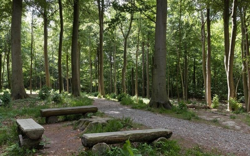 Ledreborg Skovbegravelsesplads