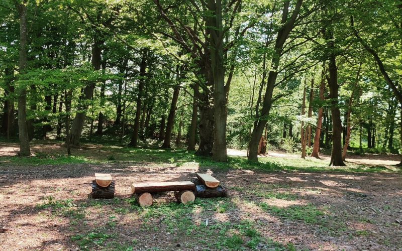 Esromgaard Skovbegravelsesplads