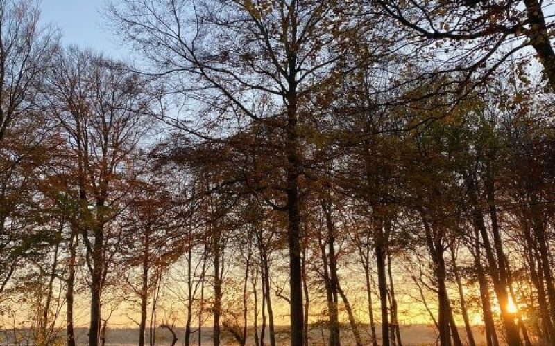 Havnø Skovbegravelsesplads