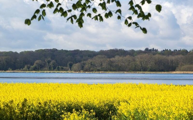 Havnø Skovbegravelsesplads
