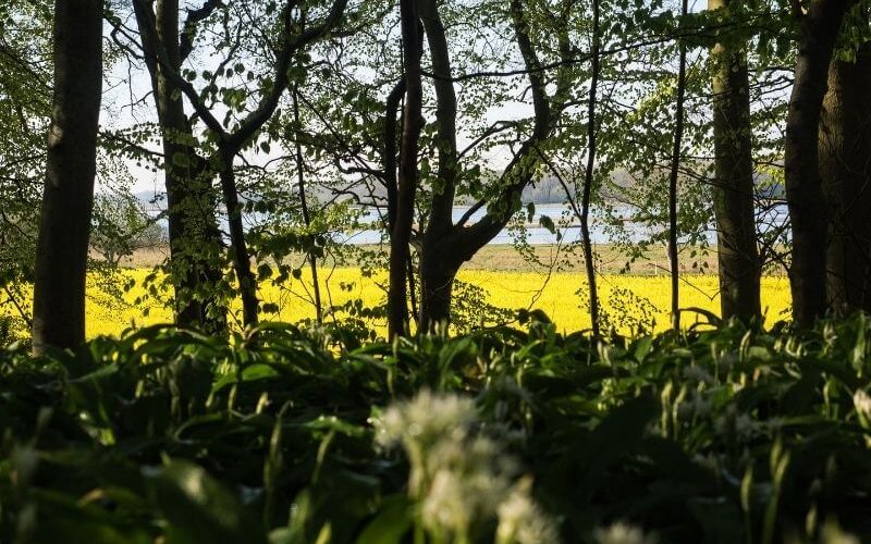 Havnø Skovbegravelsesplads