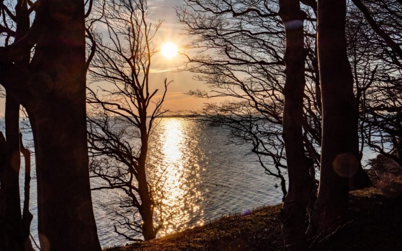 Petersgaard Skovbegravelsesplads