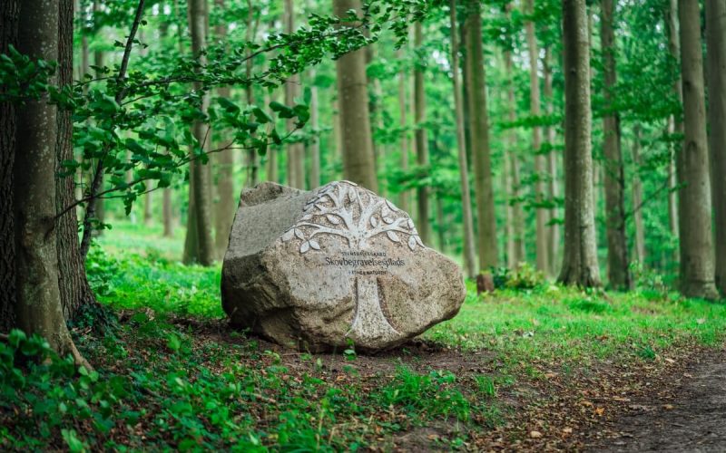 Indgang til Stensballegaard Skovbegravelsesplads