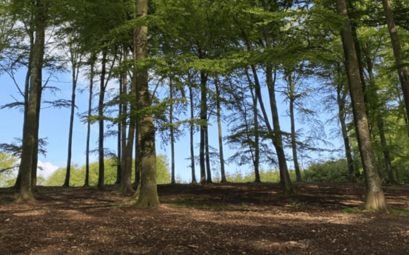 Clausholm-Skovbegravelsesplads